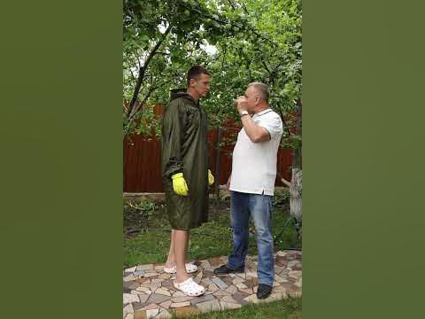 НЕ ОТДАВАЙТЕ ваш урожай ВИШНЕВОЙ МУХЕ! Чем обработать вишню и черешню ...