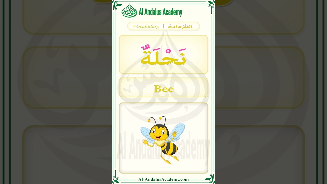 Arabic Vocabulary - Bee نحلة