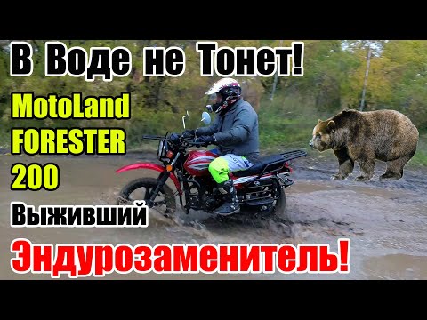 MotoLand FORESTER 200 2021г. Бюджетней самого дешевого эндуро! Review and test drive universal moto