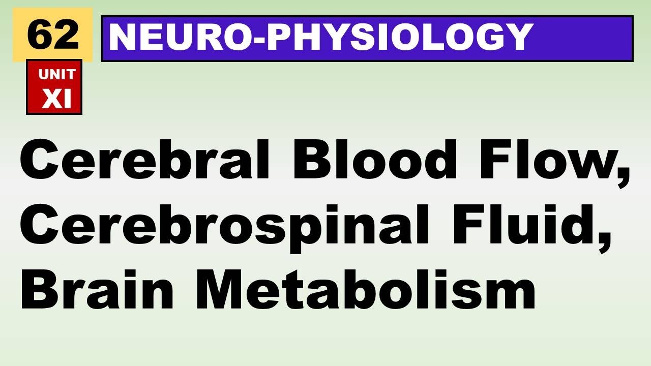 Ch#62 Physiology Guyton | Cerebral Blood Flow | Cerebrospinal Fluid ...
