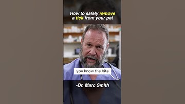 Tick Removal Tips for Dogs | Vet Advice from Marc Smith, DVM, MS