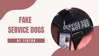 Fake Service Dogs of TikTok