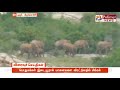 சானமாவு பகுதியில் 40 காட்டு யானைகள் முகாம்