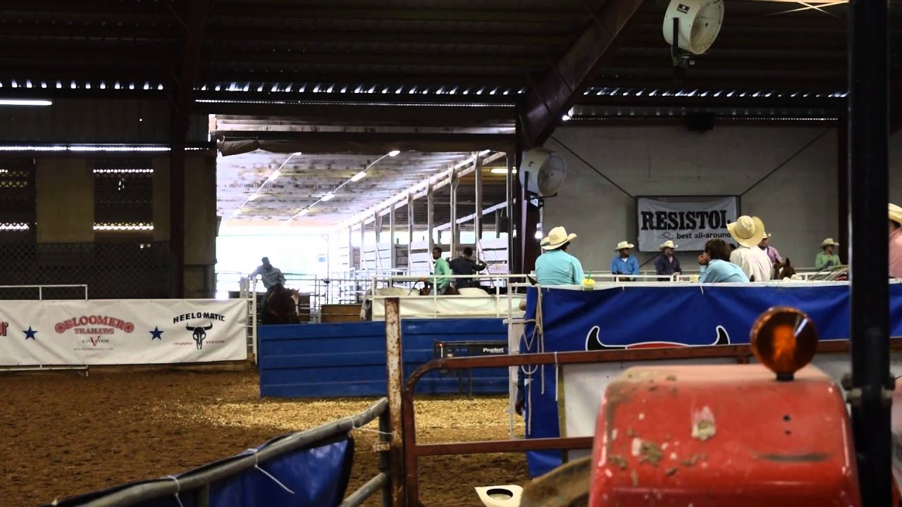 The Rose Palace Roping YouTube