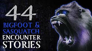 44 TTRUE SCARY STORIES - BIGFOOT HORROR STORIES