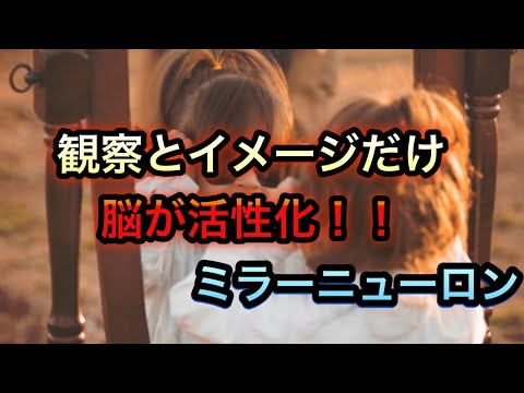 観察とイメージだけで、脳は働き学習する！＃ミラーニューロン