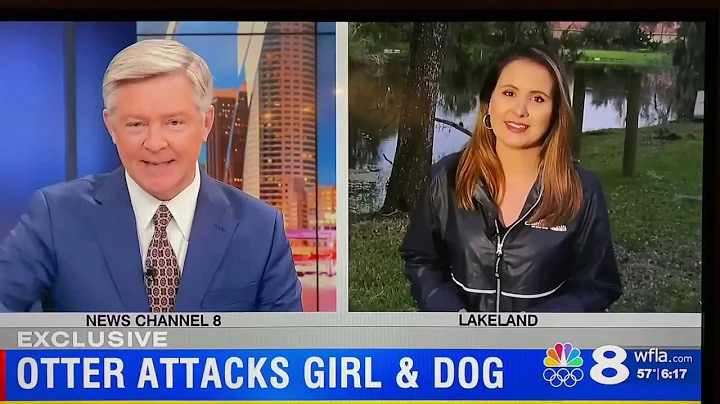 All Creatures Wildlife | Otter attack in Lakeland ...