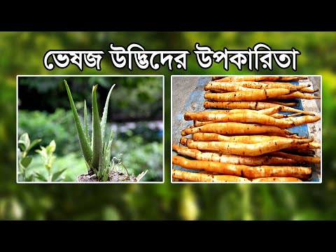 ভিডিও: নেপোলিয়ন মিশরে কি খুঁজছিলেন?