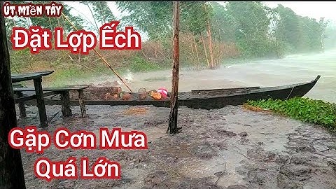 Đặt Lợp Ếch Mưu Sinh Mùa Nước Lũ Gặp Cơn Mưa Quá Lớn// Út Miền Tây