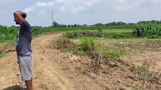 Cheap Land on Sale near Bhairahawa, Nepal ????cheapland nepal