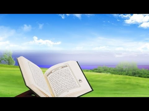 Walaloo Bareedduu Nama Hawwattu Tana Qooda Irraa Fudhaa