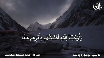 آيات من سورة يوسف / عبد السلام كليس الدياني