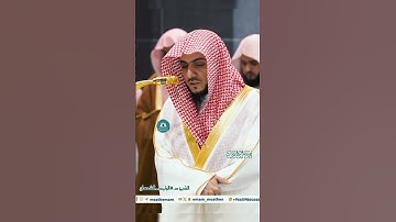 تلاوة خاشعة 🕊 سورة الذاريات 🕊  #للشيخ .د #الوليد_الشمسان