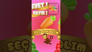 Havuç Seviyorsun. Peki Bu Sorunun Cevabını Biliyor musun? Evet Hayır Oynuyoruz.  #totipofi