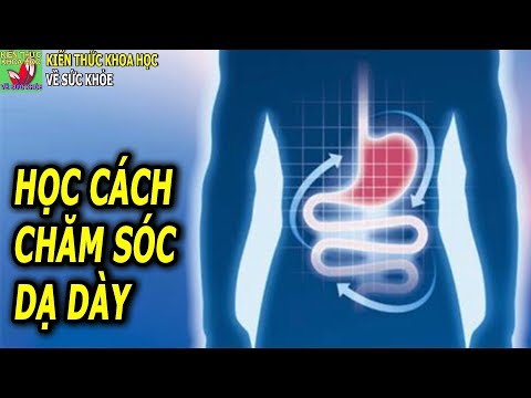Video CẢ ĐỜI KHÔNG LO MẮC BỆNH DA DÀY NẾU TUÂN THỦ THỜI GIAN... - youtube