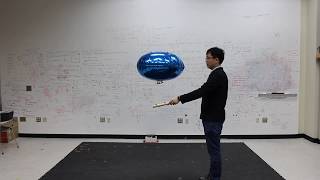 Blimp Following Wand (APv23)