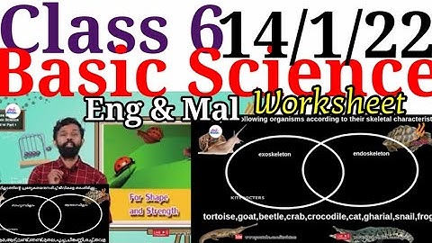 Class 6 Basic Science Worksheet 14/1/22|Class 6 Basic Science chapter 10|part 1|Activities|@educutz131