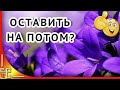 Пожелание друзьям. Не оставляйте счастье на потом! Современная поэзия