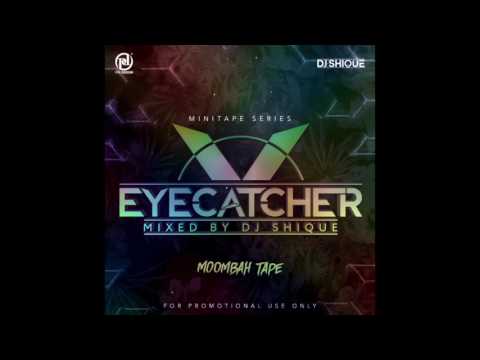 Moombahton Remix 2017 January | By DJ SHIQUE