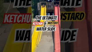 😱Who Will Win the Waterslide Race? ☀️ #summerfun #waterpark #waterslides
