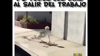 Featured image of post Videos Chistosos Cortos Para Whatsapp