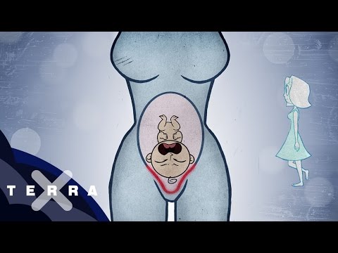 Video: Wie Sich Eine Schwangerschaft Auf Die Familiären Beziehungen Auswirkt