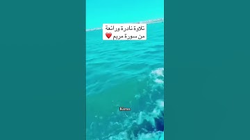 تلاوة نادرة ورائعة من سورة مريم #اكسبلور #المصحف #تلاوة_خاشعة