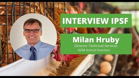 Dr Hruby interview  - Feed additives poultry research