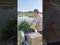 Reed Grass Harvesting Machine Working Near a Lake | Efficient Grass Cutting