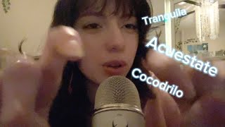 ASMR Clicky SPANISH Trigger Words + Hand Motions