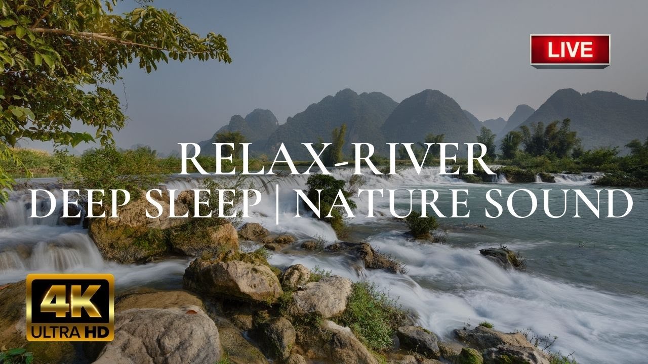 River Relaxing Live Deep Sleep Sound | Nature Peaceful Ambience for SPA & Yoga Music ASMR