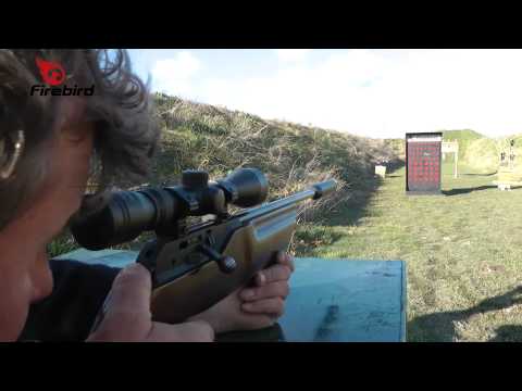 Firebird Exploding Airflash Targets for Air Rifles