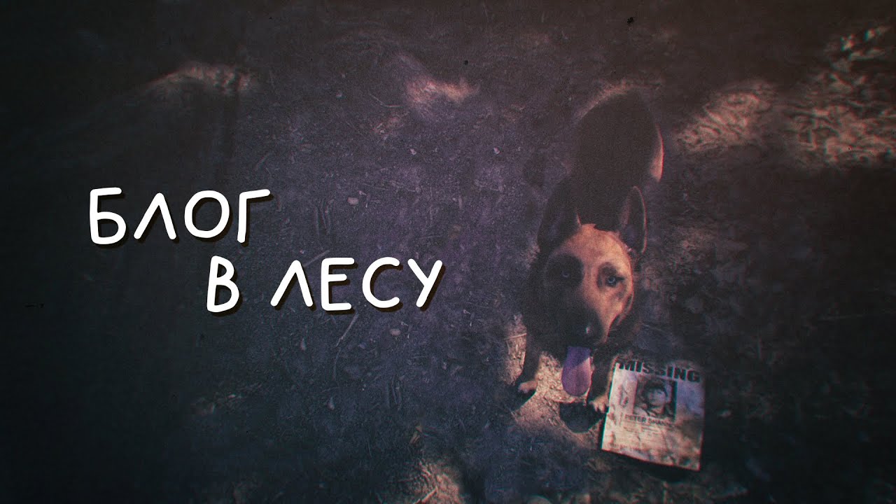 БЛОГ В ЛЕСУ.MP4