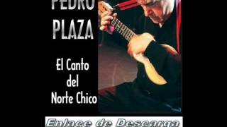 Pedro Plaza - El Canto Del Norte Chico