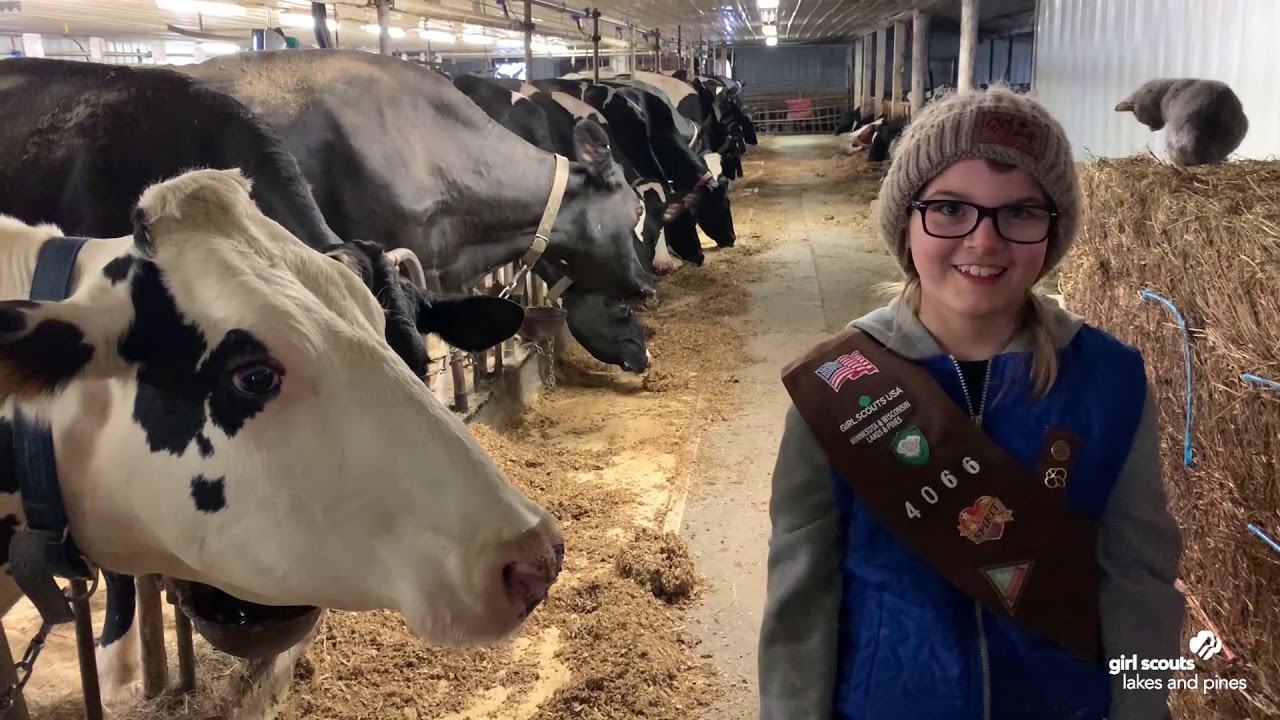 Girl Scouts Adventure Club Laveau Grandview Dairy Farm Tour YouTube