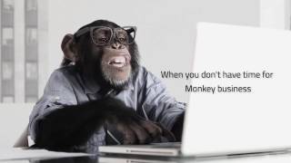 Computer Repair Monkey Business My Discount Tech