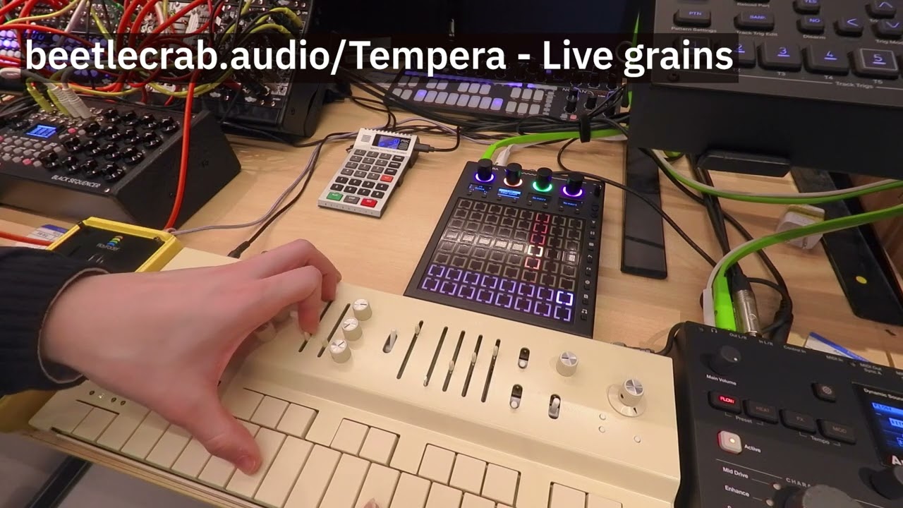 beetlecrab.audio Tempera / “Live grains” feature in firmware Ver 2.1