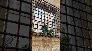 Top 10 Things To Do In Valencia, Spain 🇪🇸 (Part 1)