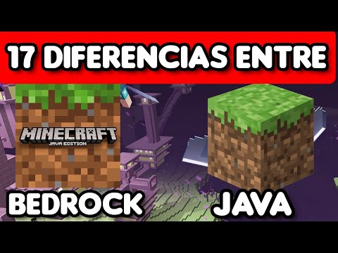 17 Diferencias Entre