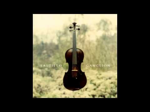 Saltillo - Blood