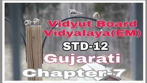 1460.Std-12,Gujarati,Chapter-7 | Vidyut Board Vidyalaya | BHAGYESH THAKKAR