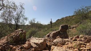 Arizona Desert Ambiance. 1 Hour.  Remote Desert Canyon.  For Relaxation, sleep, meditation. NOT AI