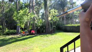 Dye Nt10 For Sale Pbnation