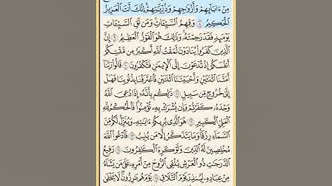 القرآن الكريم سورة غافر من الايه الكريمه 1 إلى الآية الكريمة 16 محمد ايوب