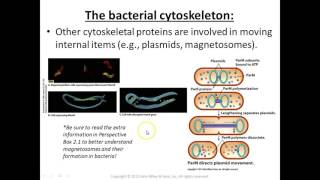 210 Prokaryotes Part 2 FA16