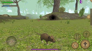 #Avelog Games Mouse Simulator Gameplay
