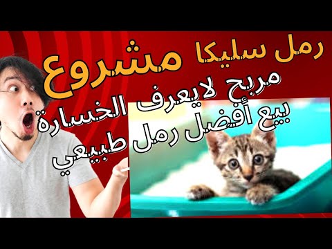 شركات كبيرة في صناعة رمل قطط لا تريدك أن تعرف هذا السر أفضل وأرخص رمل