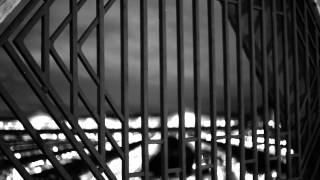 Icesun The Toxic In Me