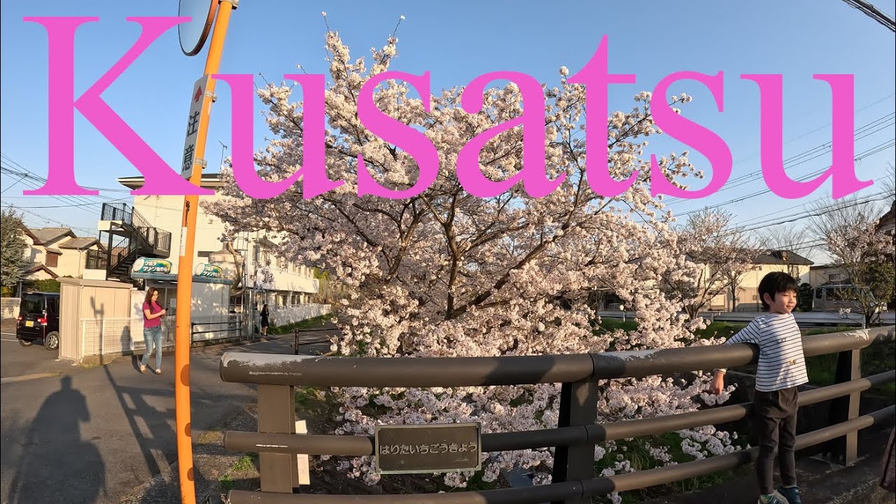 桜咲く季節に歩く南草津　Walking Tour in Minami-Kusatsu of Cherry Blossom's Season, Kusatsu, Shiga, Japan