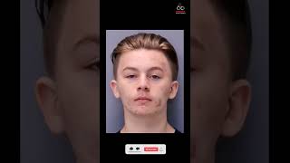 Celebrity Tristyn Bailey and Aiden Fucci #shorts #truecrime #crime #crimestory #tristynbailey #aidenfucci Wealth